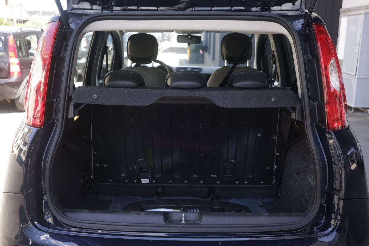Fiat Panda Cross Cross 1.0 FireFly S&S Hybrid (18)