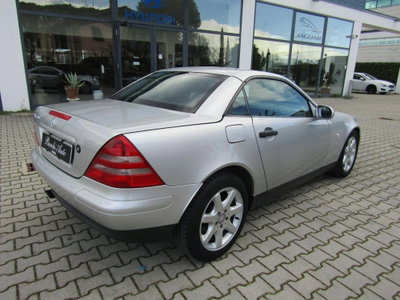 Mercedes-Benz SLK 200 cat (5)