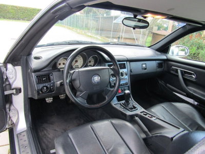 Mercedes-Benz SLK 200 cat (8)