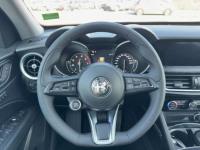 Alfa Romeo Stelvio Stelvio 2.0 Turbo 200 CV AT8 Q4 Super Business (9)