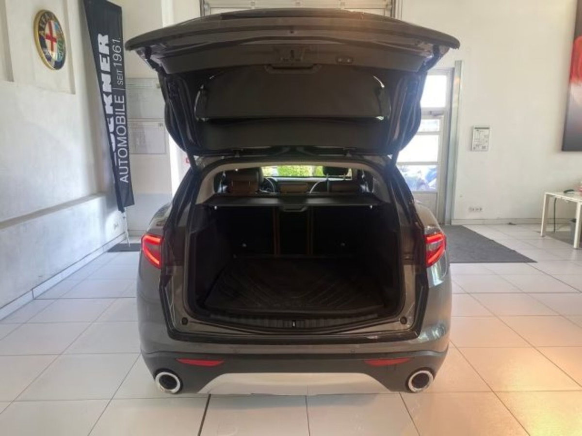 Alfa Romeo Stelvio Stelvio 2.0 Turbo 200 CV AT8 Q4 Super Business (14)