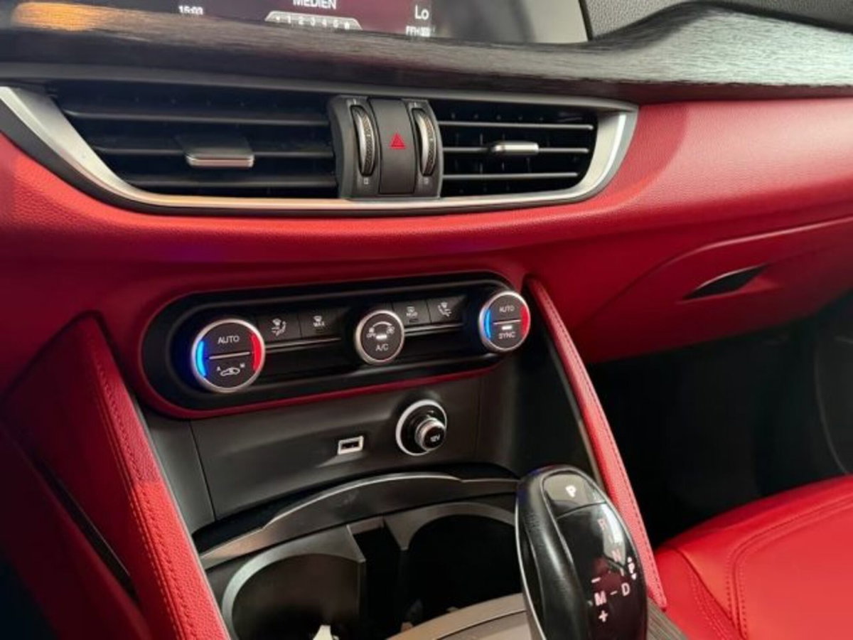 Alfa Romeo Stelvio Stelvio 2.0 Turbo 200 CV AT8 Q4 Super Business (19)
