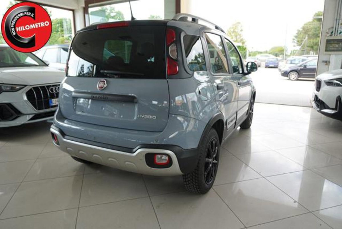 Fiat Panda 1.0 firefly hybrid s&s 70cv 5p.ti (6)