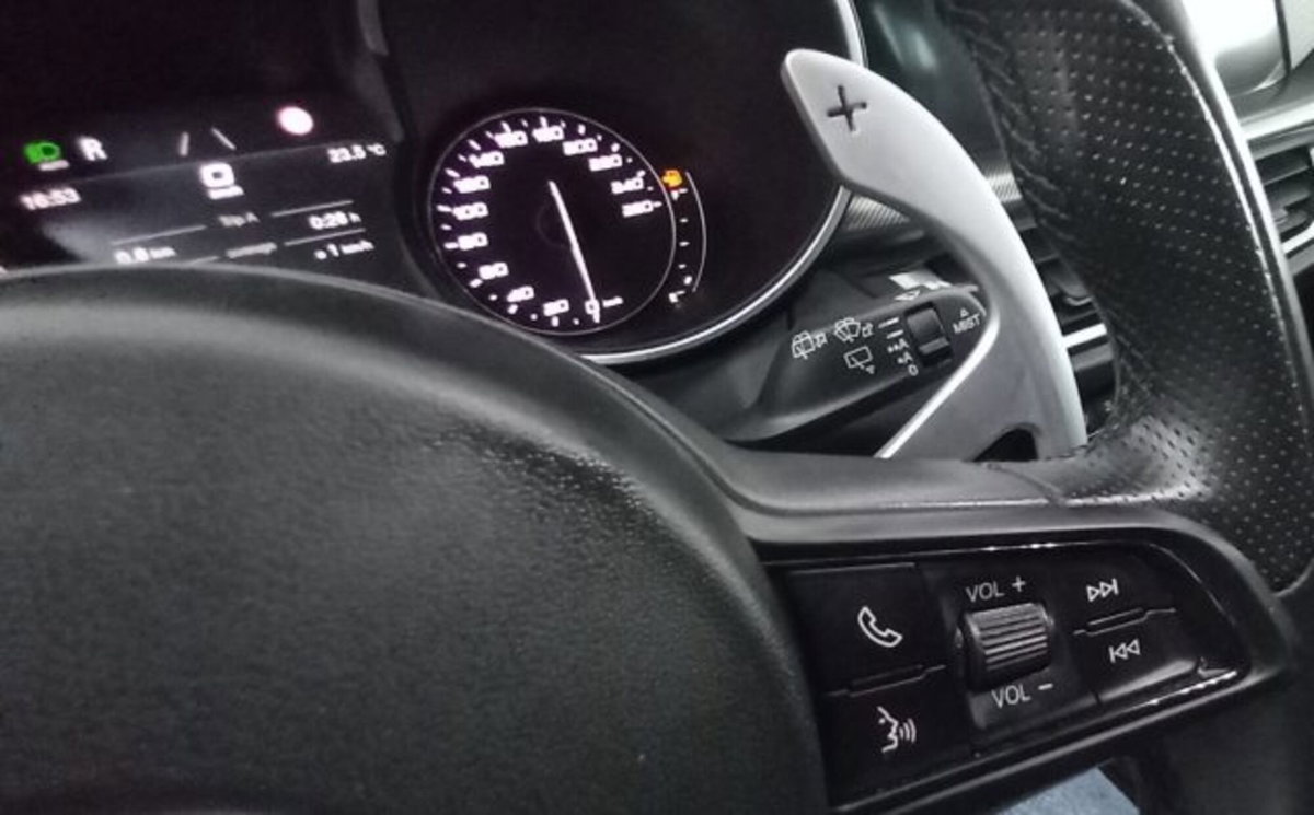 Alfa Romeo Stelvio Stelvio 2.2 Turbodiesel 210 CV AT8 Q4 Veloce (15)
