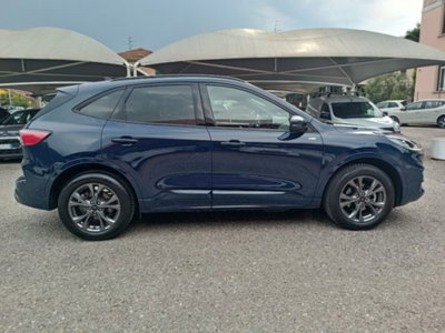 Ford Kuga 2.5 Plug In Hybrid 225 CV CVT 2WD ST-Line (7)