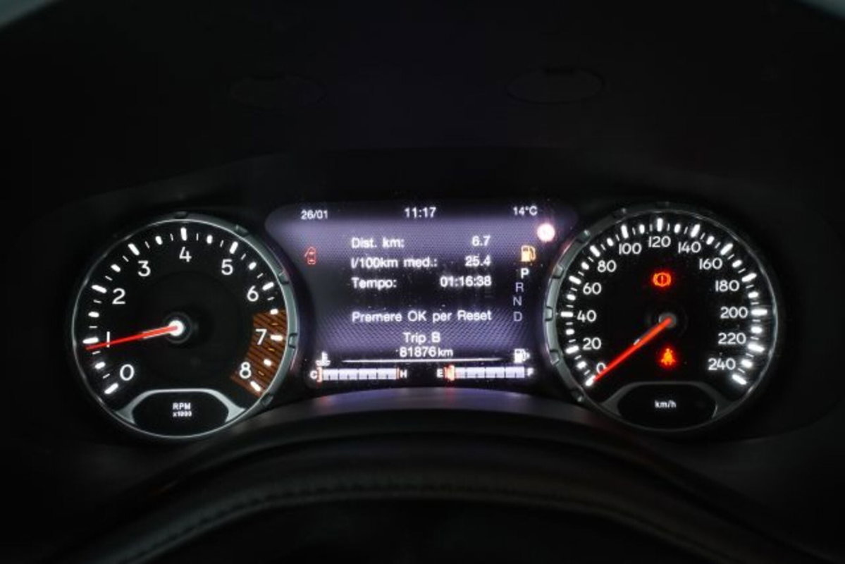 Jeep Renegade 1.3 T4 DDCT Limited (15)