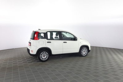 Fiat Panda 1.0 firefly hybrid s&s 70cv 5p.ti (3)