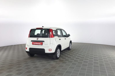 Fiat Panda 1.0 firefly hybrid s&s 70cv 5p.ti (5)