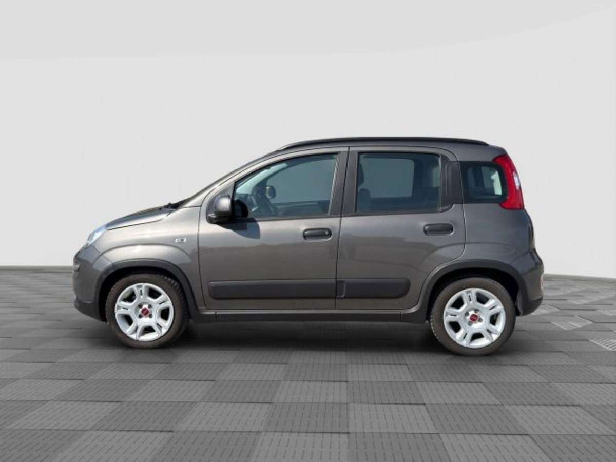 Fiat Panda 1.0 FireFly S&S Hybrid City Cross (2)