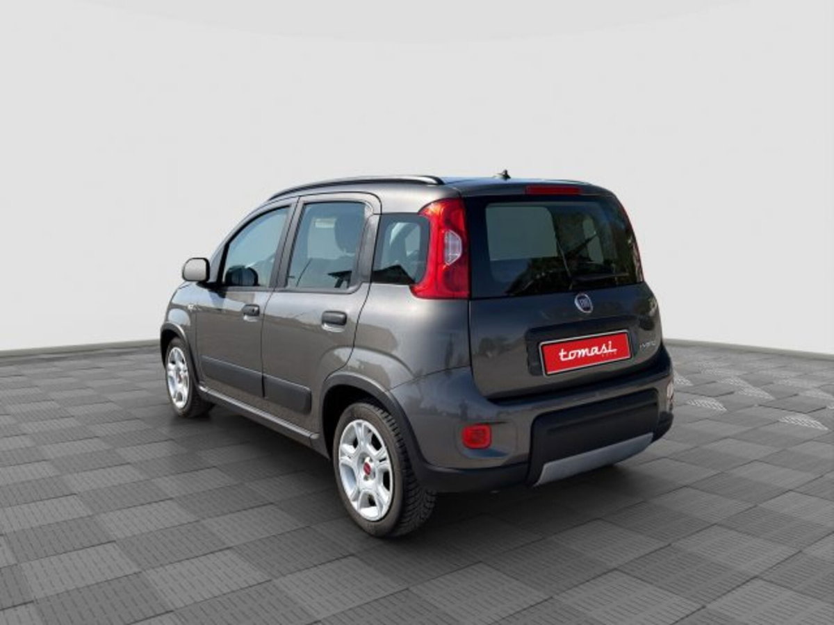 Fiat Panda 1.0 FireFly S&S Hybrid City Cross (3)
