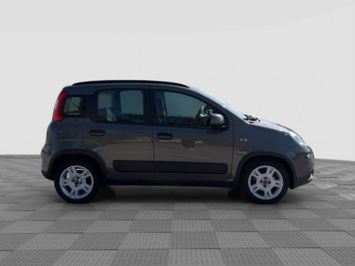 Fiat Panda 1.0 FireFly S&S Hybrid City Cross (6)