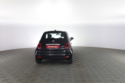 Fiat 500 1.0 Hybrid Cult (5)