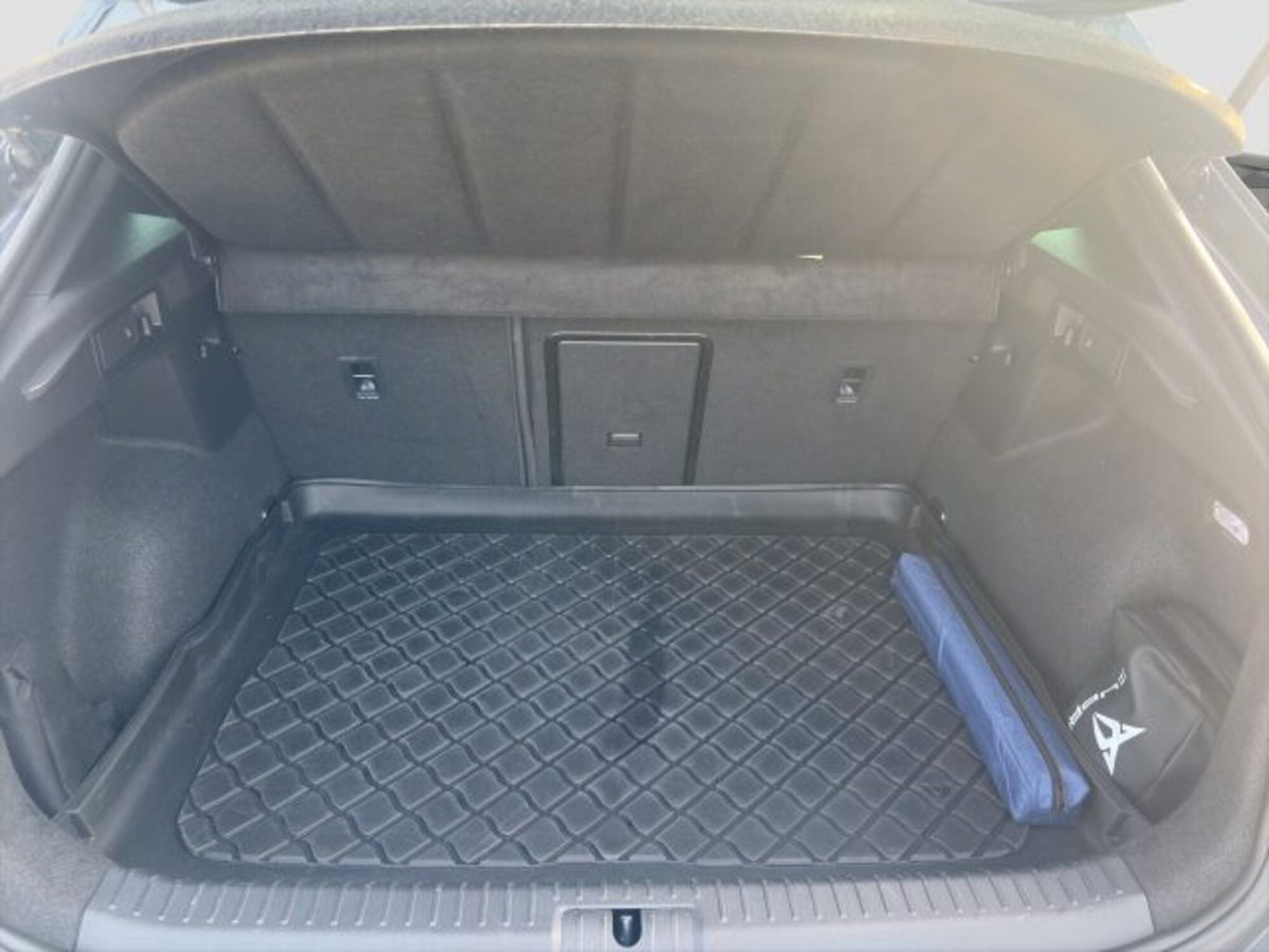 Cupra Formentor Formentor 2.0 tdi 4drive 150cv dsg (14)