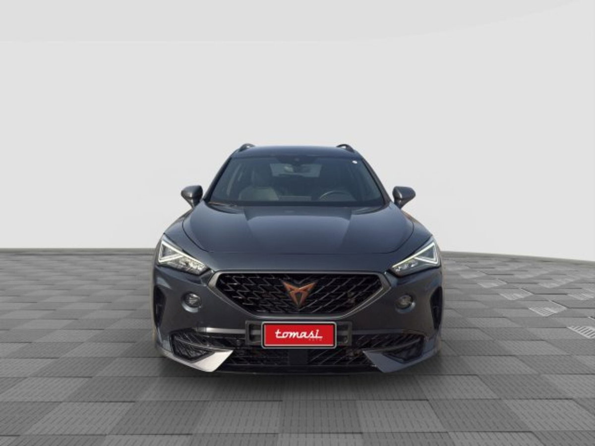 Cupra Formentor Formentor 2.0 tdi 4drive 150cv dsg (4)