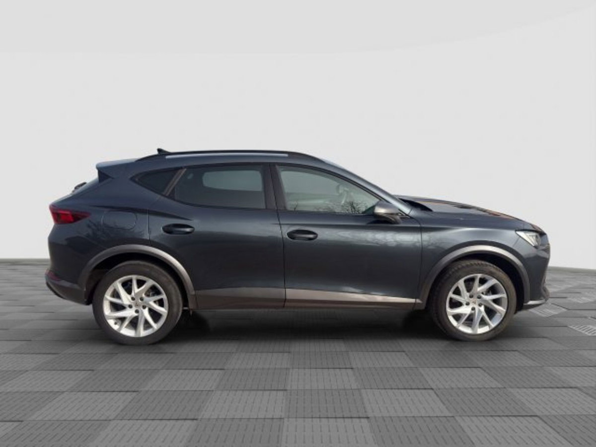 Cupra Formentor Formentor 2.0 tdi 4drive 150cv dsg (7)