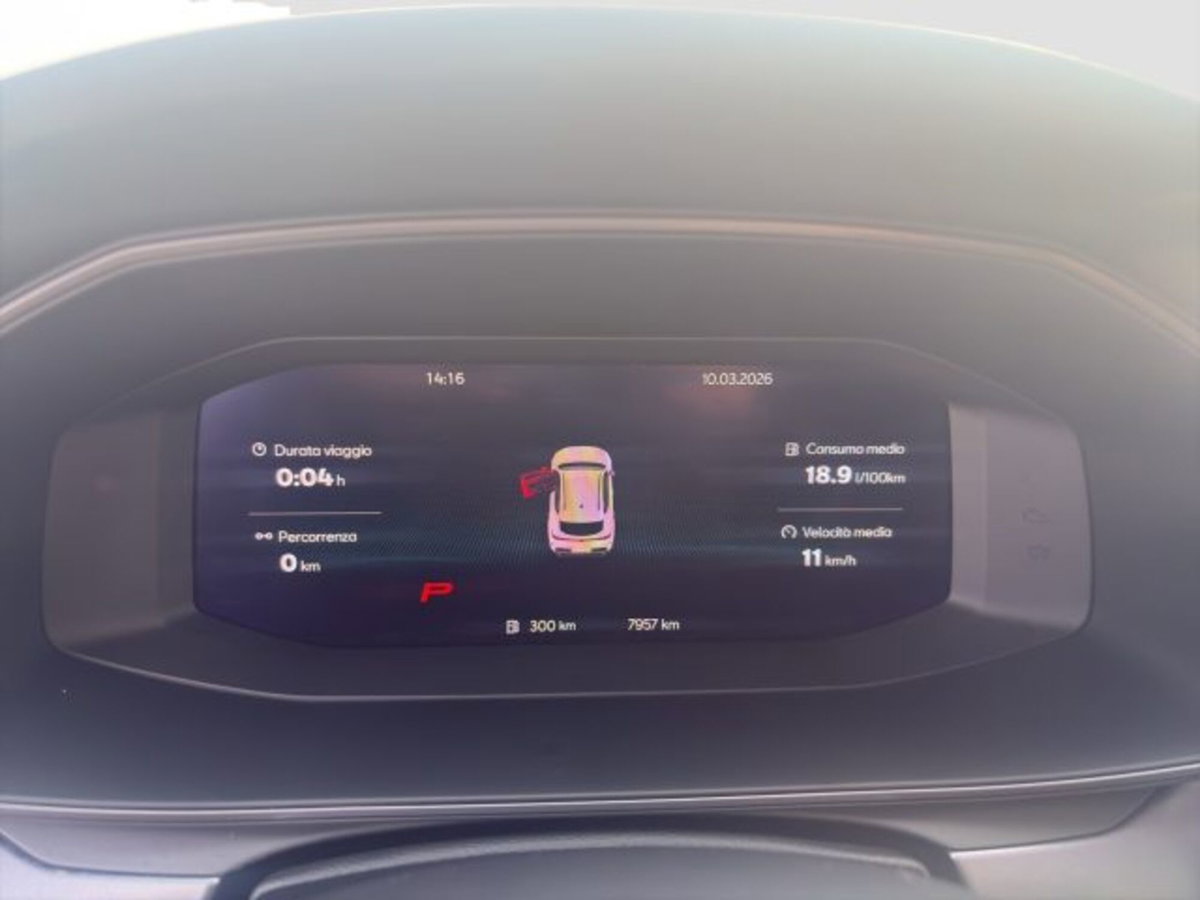 Cupra Formentor Formentor 2.0 TDI (15)