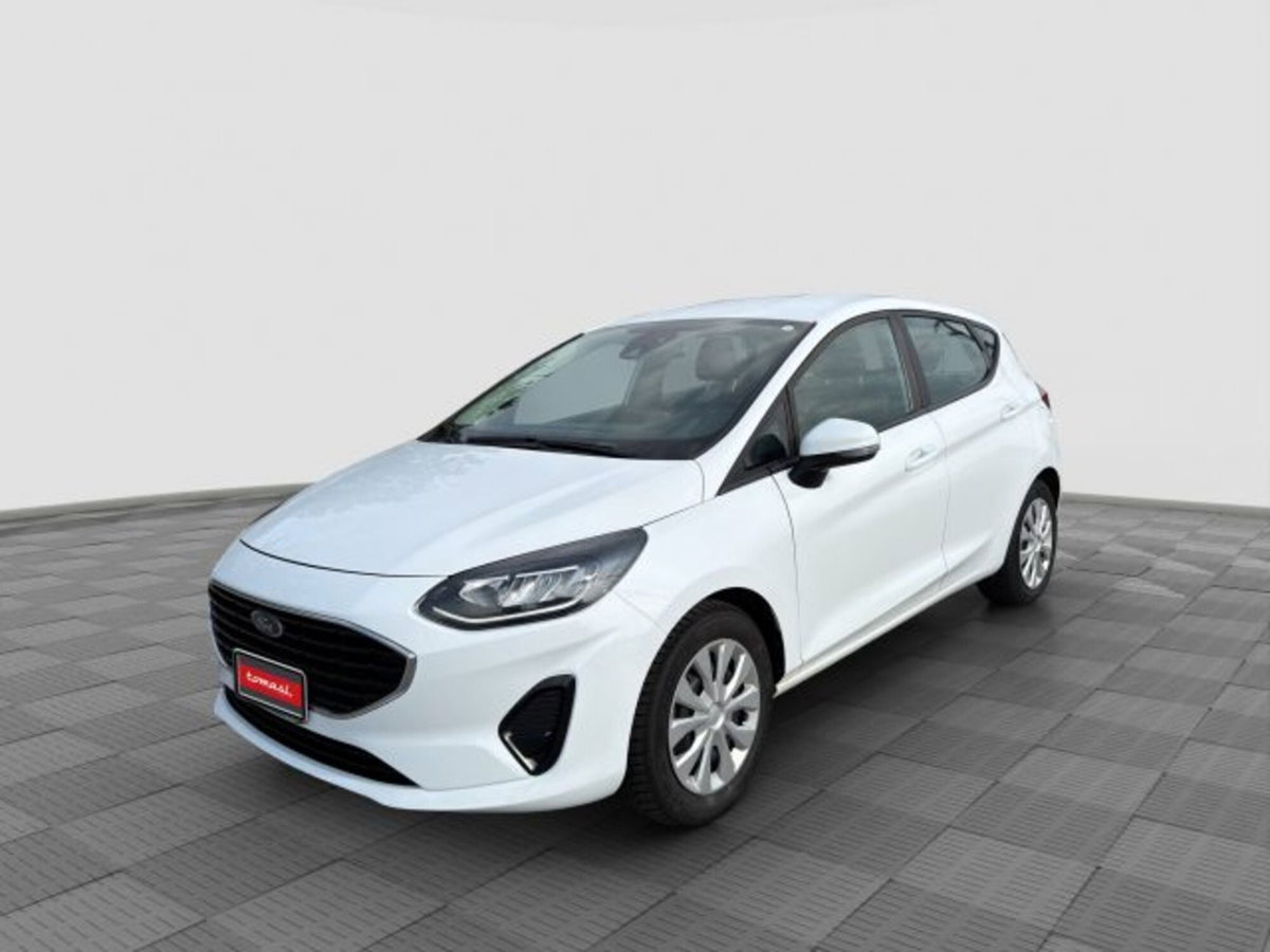 Ford Fiesta 1.1 75 CV GPL 5 porte Plus