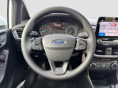Ford Fiesta 1.1 75 CV GPL 5 porte Plus (13)