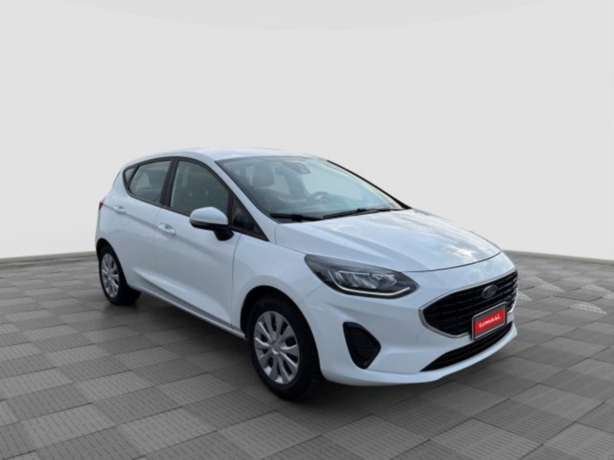 Ford Fiesta 1.1 75 CV GPL 5 porte Plus (7)