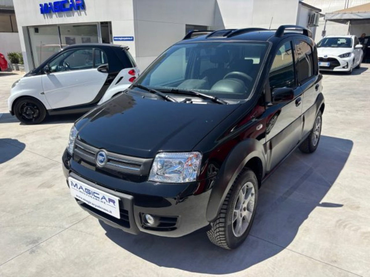 Fiat Panda 1.3 MJT 16V 4x4 Monster (3)