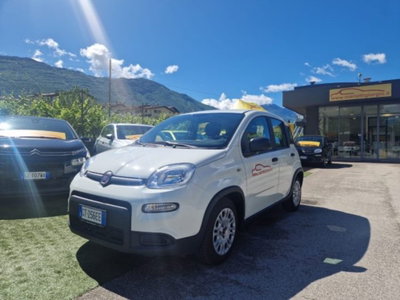 Fiat Panda 1.0 firefly hybrid s&s 70cv 5p.ti usata
