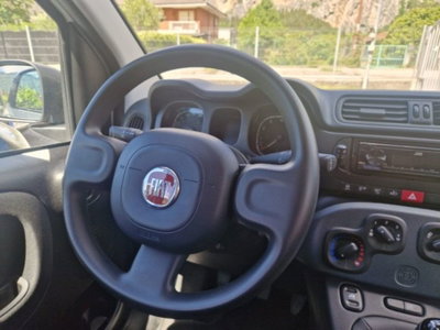 Fiat Panda 1.0 firefly hybrid s&s 70cv 5p.ti (13)