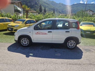 Fiat Panda 1.0 firefly hybrid s&s 70cv 5p.ti (2)