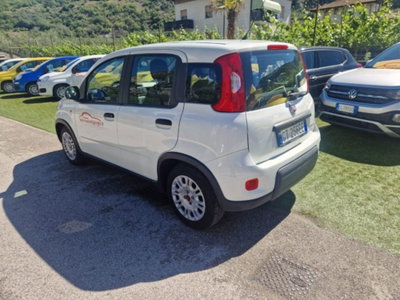 Fiat Panda 1.0 firefly hybrid s&s 70cv 5p.ti (3)