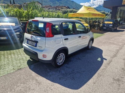 Fiat Panda 1.0 firefly hybrid s&s 70cv 5p.ti (5)