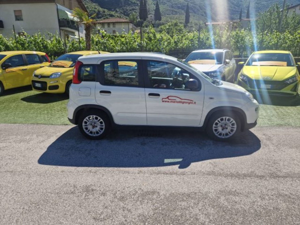 Fiat Panda 1.0 firefly hybrid s&s 70cv 5p.ti (6)