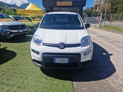 Fiat Panda 1.0 firefly hybrid s&s 70cv 5p.ti (8)