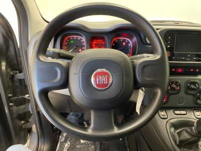 Fiat Panda 1.0 firefly hybrid s&s 70cv 5p.ti (12)