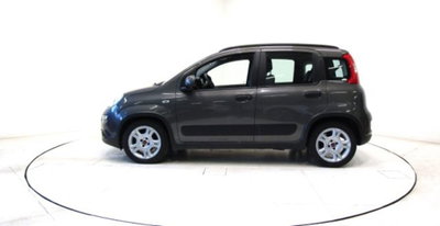 Fiat Panda 1.0 firefly hybrid s&s 70cv 5p.ti (14)