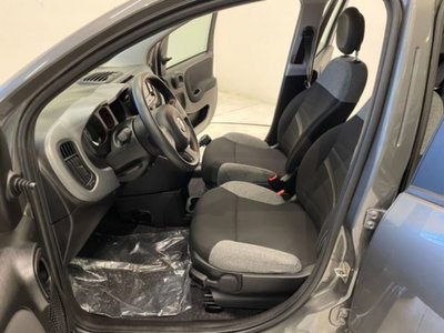 Fiat Panda 1.0 firefly hybrid s&s 70cv 5p.ti (6)