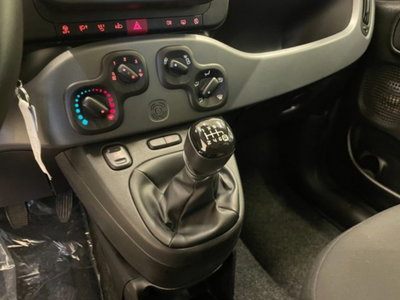 Fiat Panda 1.0 firefly hybrid s&s 70cv 5p.ti (8)
