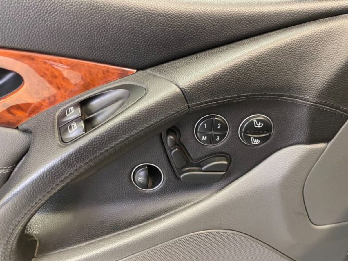 Mercedes-Benz SL 500 cat (13)