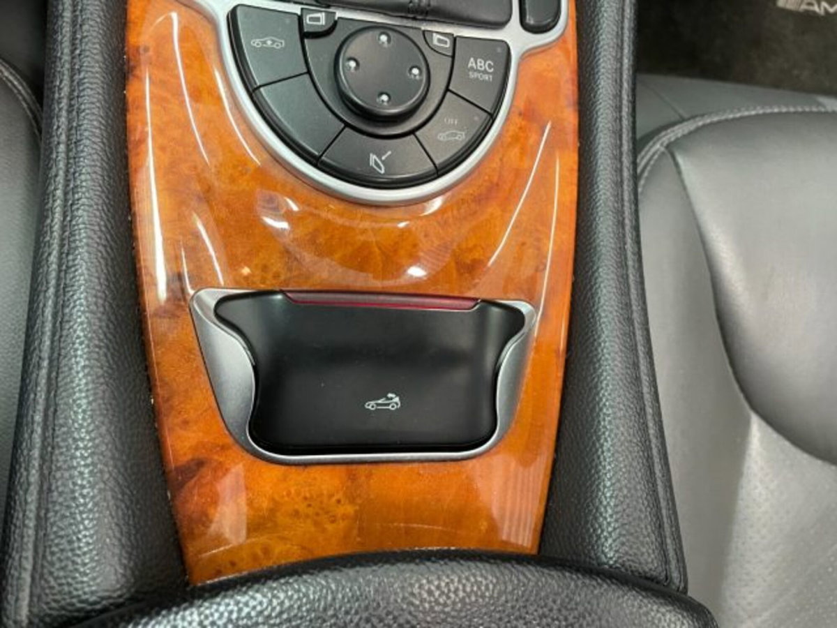 Mercedes-Benz SL 500 cat (14)