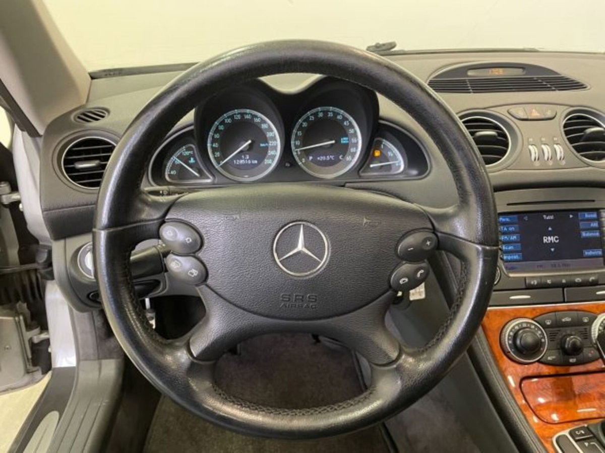 Mercedes-Benz SL 500 cat (16)