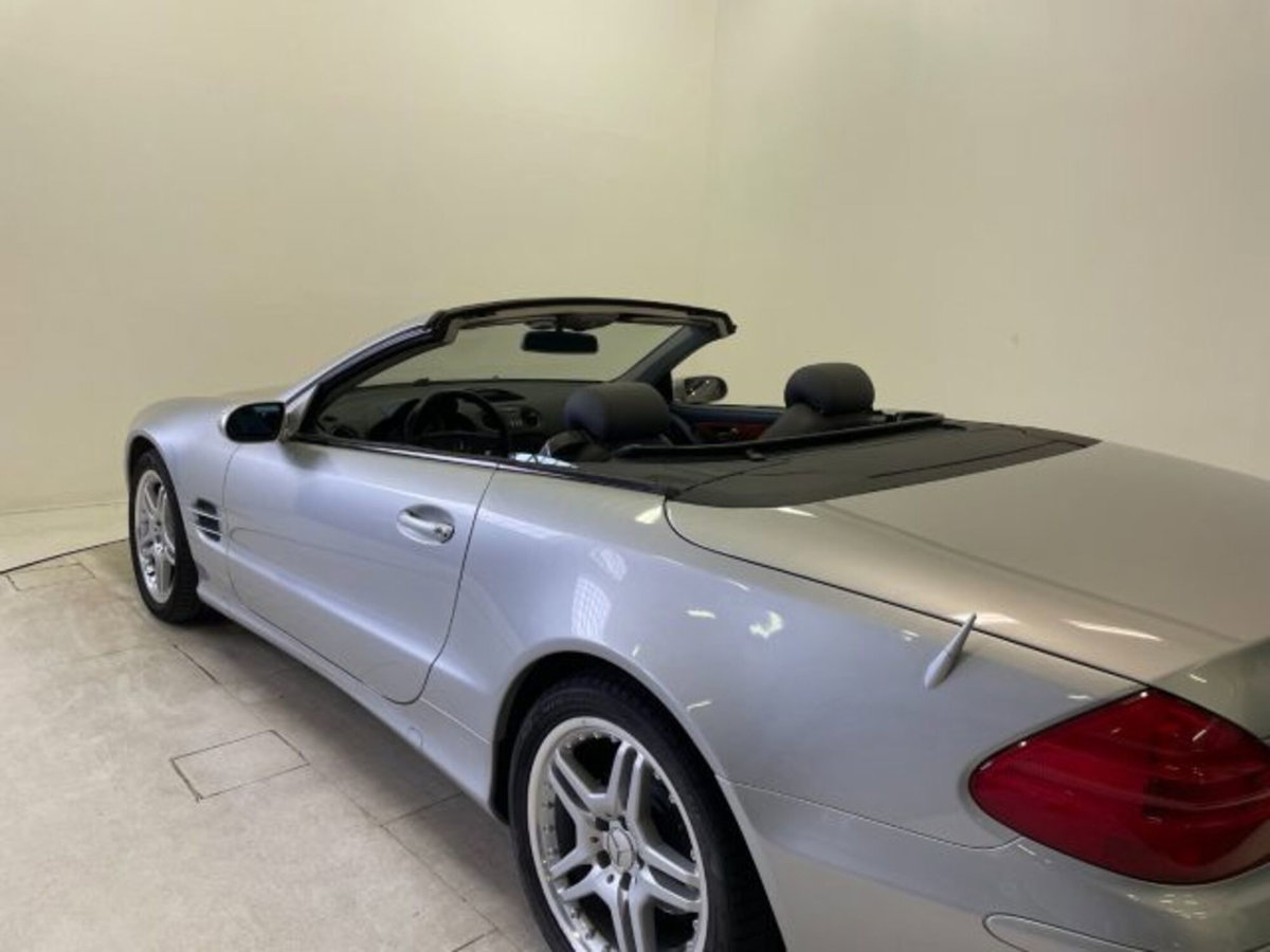 Mercedes-Benz SL 500 cat (17)