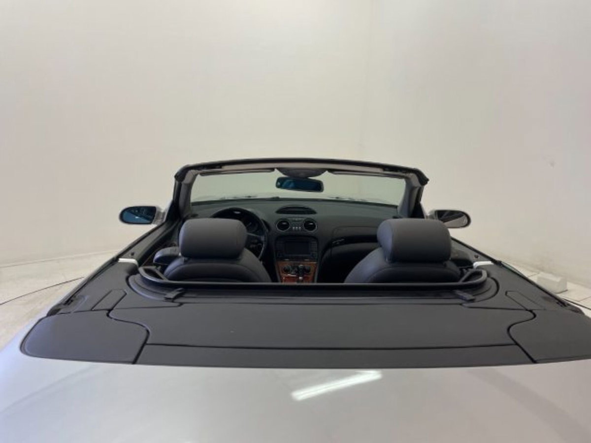 Mercedes-Benz SL 500 cat (18)
