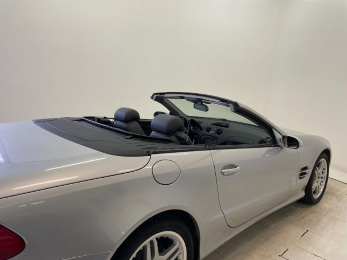 Mercedes-Benz SL 500 cat (19)