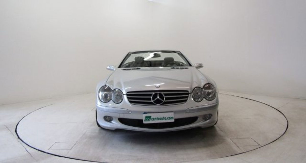Mercedes-Benz SL 500 cat (2)