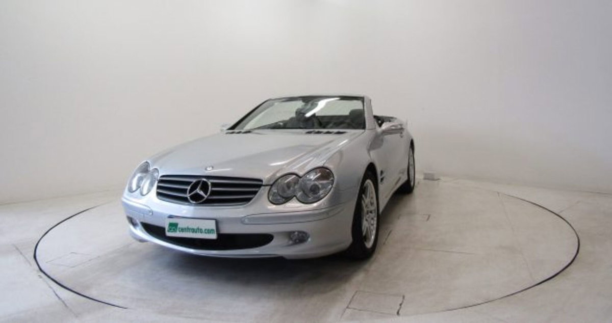 Mercedes-Benz SL 500 cat (3)