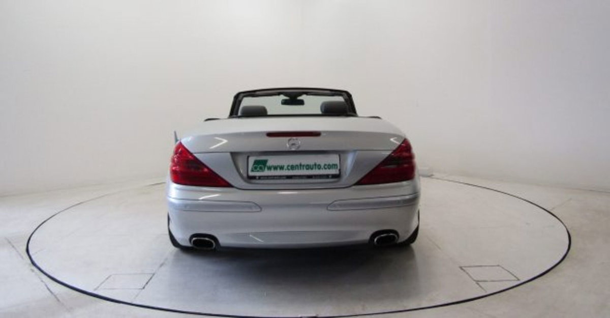 Mercedes-Benz SL 500 cat (4)