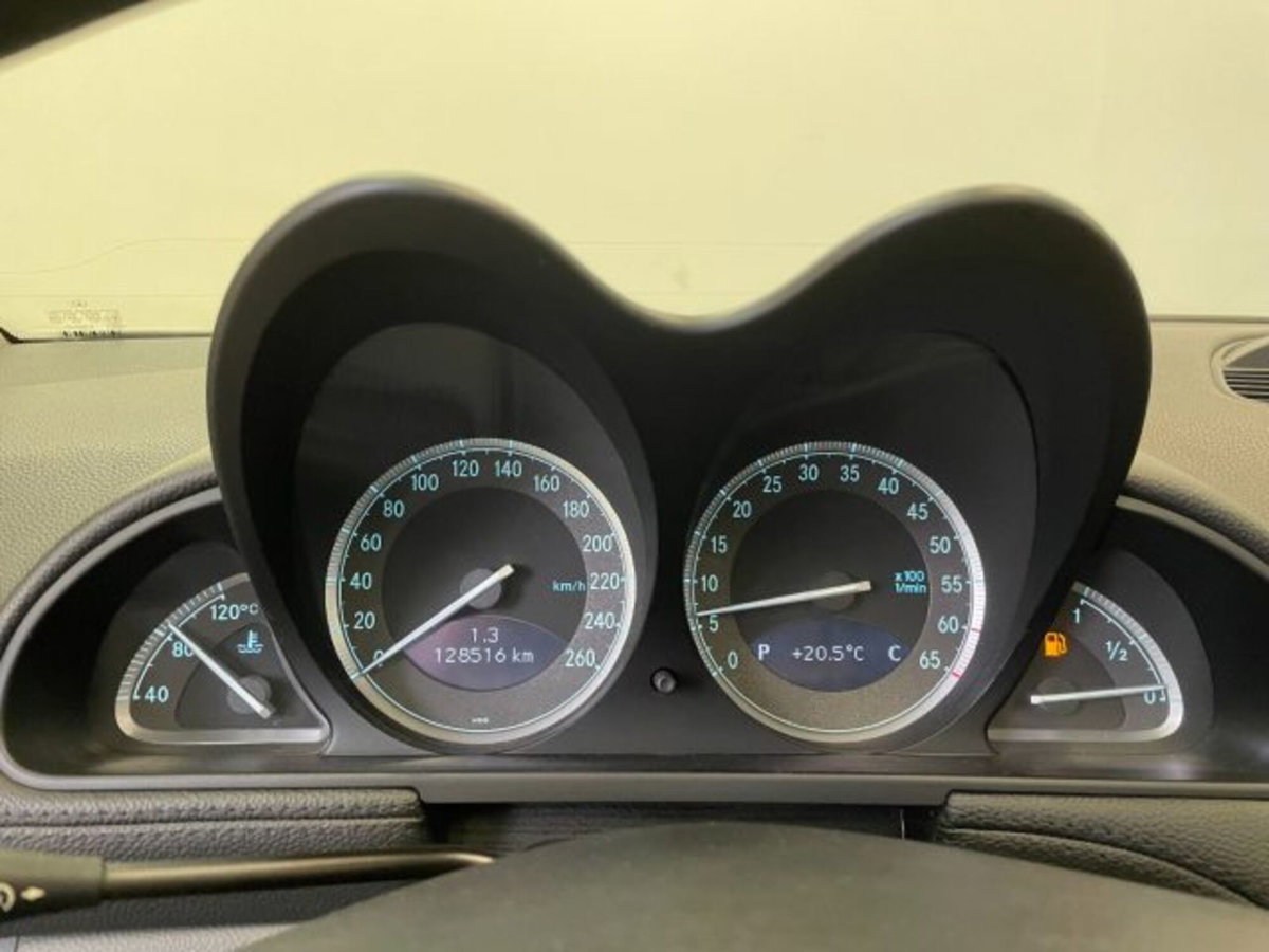 Mercedes-Benz SL 500 cat (5)
