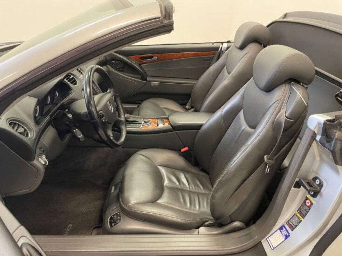 Mercedes-Benz SL 500 cat (6)