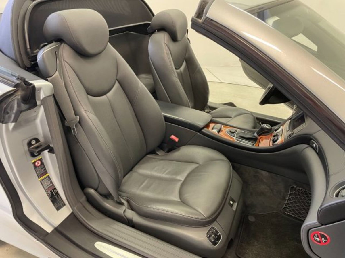 Mercedes-Benz SL 500 cat (7)