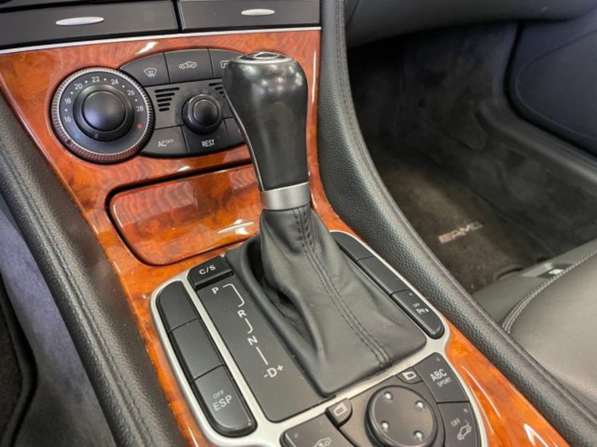Mercedes-Benz SL 500 cat (8)
