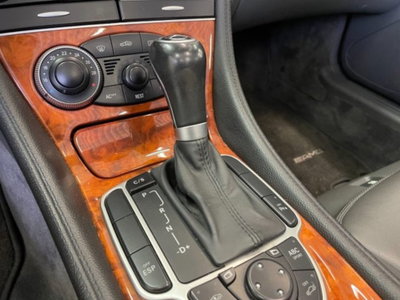 Mercedes-Benz SL 500 cat (8)