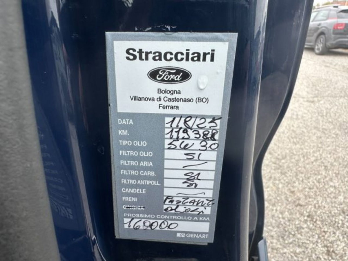 Ford Transit Furgone 350 2.0TDCi EcoBlue MHEV 130CV PL-TM Combi Trend N1 (11)